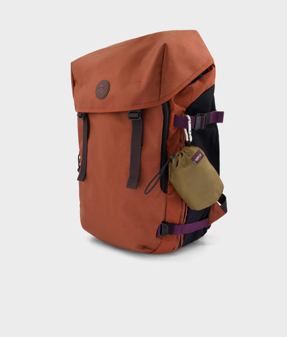 Competitive Eating Champion