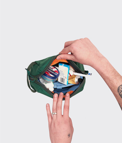 | Colour: Evergreen (Model 1)